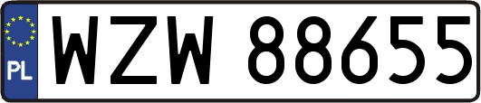 WZW88655