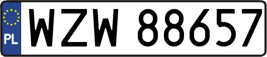 WZW88657