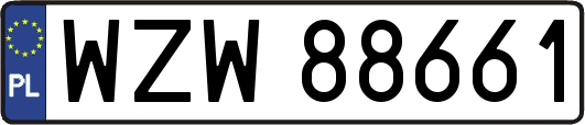WZW88661