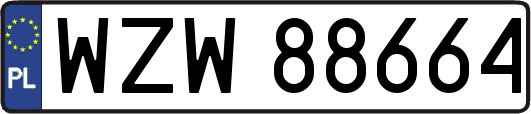 WZW88664