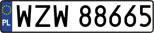 WZW88665