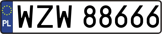 WZW88666