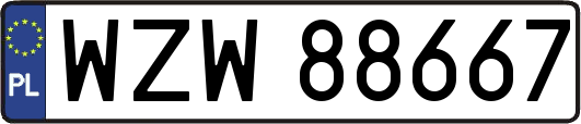 WZW88667