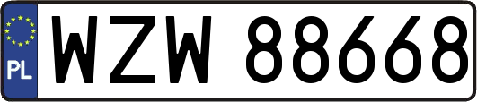 WZW88668