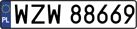 WZW88669
