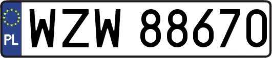 WZW88670