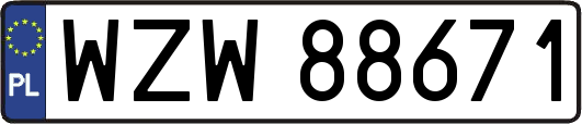 WZW88671