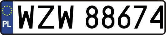 WZW88674