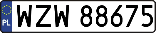 WZW88675