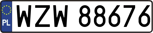 WZW88676