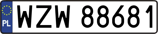 WZW88681