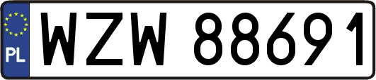 WZW88691