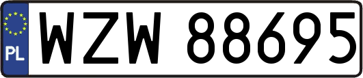 WZW88695