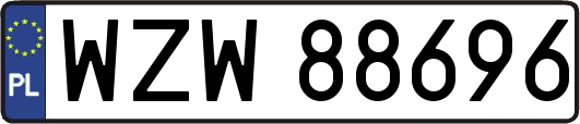 WZW88696