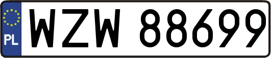 WZW88699