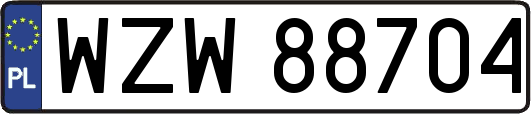 WZW88704