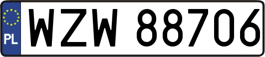 WZW88706