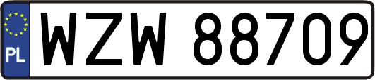 WZW88709