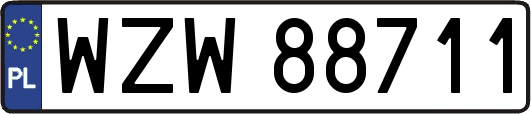 WZW88711