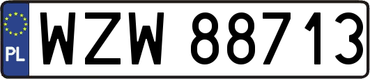 WZW88713