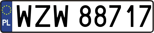 WZW88717