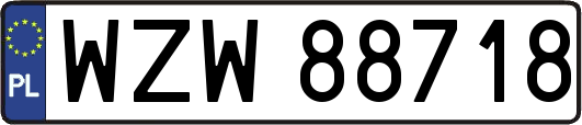WZW88718