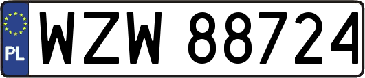 WZW88724