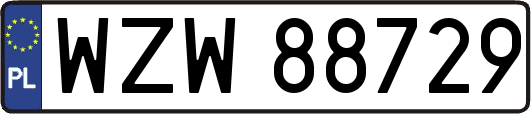 WZW88729