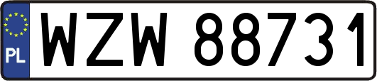 WZW88731