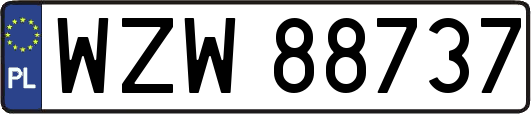 WZW88737