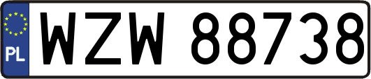 WZW88738