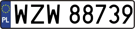 WZW88739