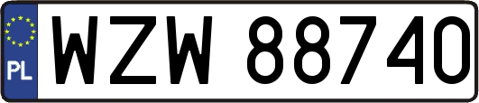 WZW88740