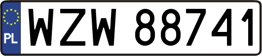 WZW88741
