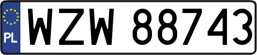 WZW88743