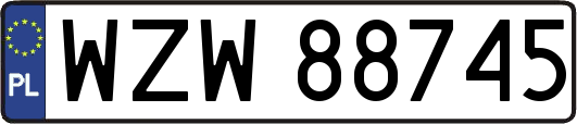 WZW88745