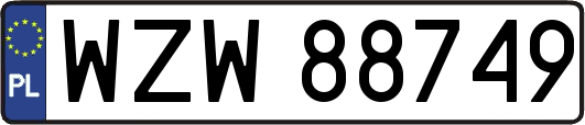 WZW88749