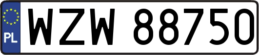 WZW88750
