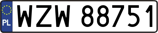 WZW88751