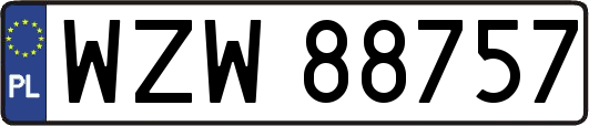 WZW88757