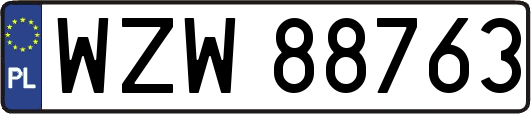 WZW88763