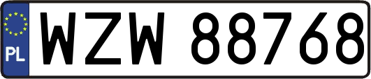 WZW88768