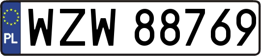 WZW88769
