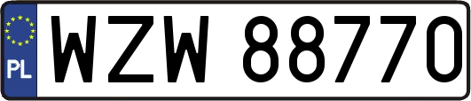 WZW88770