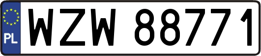 WZW88771