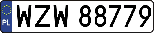 WZW88779