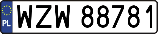 WZW88781