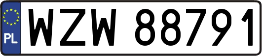 WZW88791