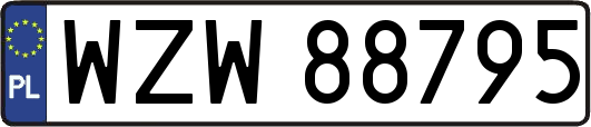 WZW88795