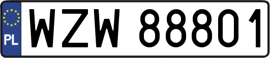 WZW88801